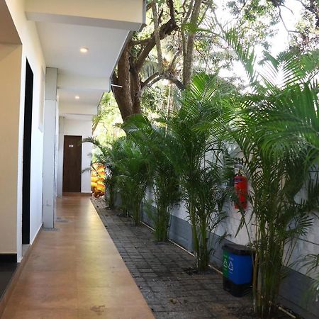 La Vera Boutique Hotel, Mandrem Dış mekan fotoğraf
